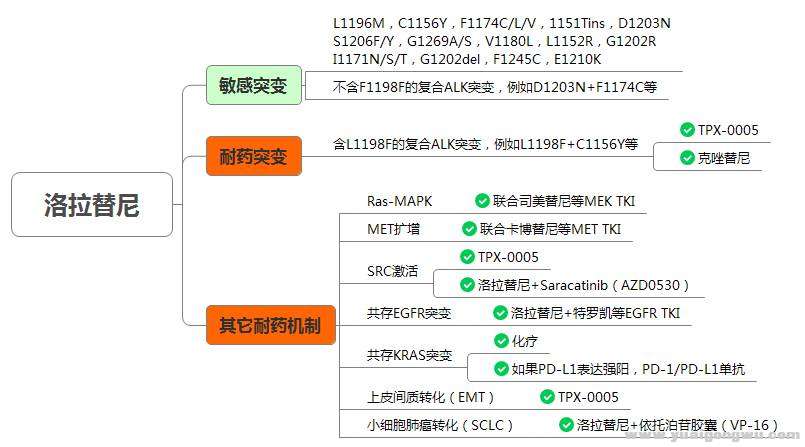 洛拉替尼L3.jpg